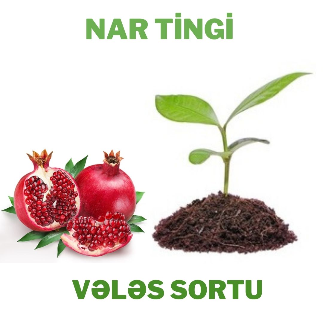 Nar