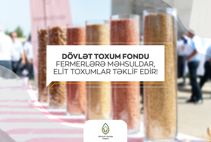 Fond fermerlərə məhsuldar, elit toxumlar təklif edir