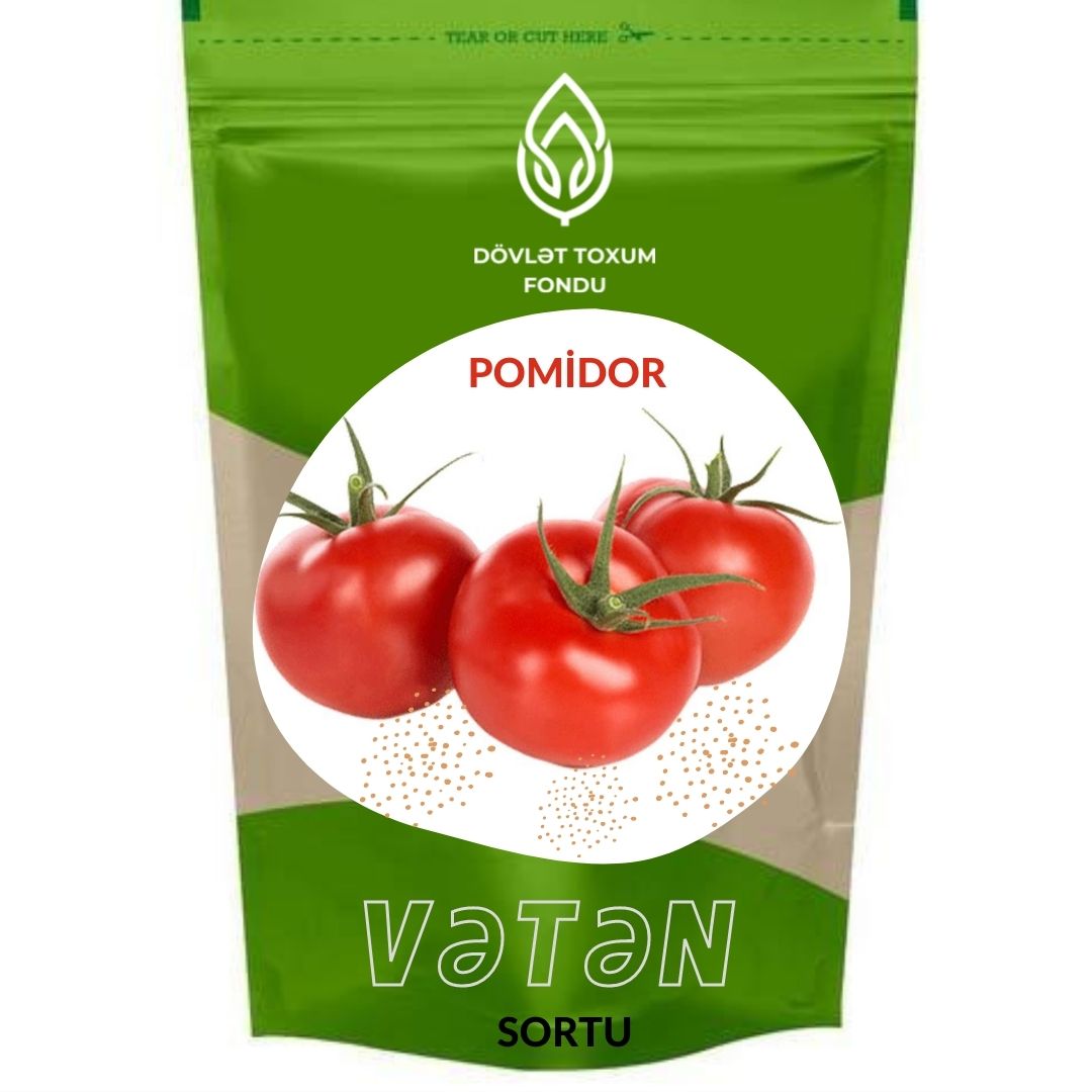 Pomidor
