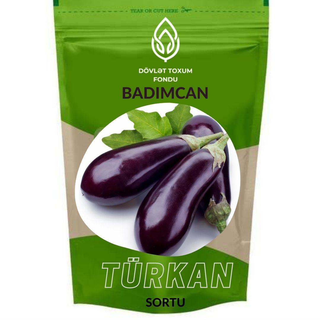Badımcan