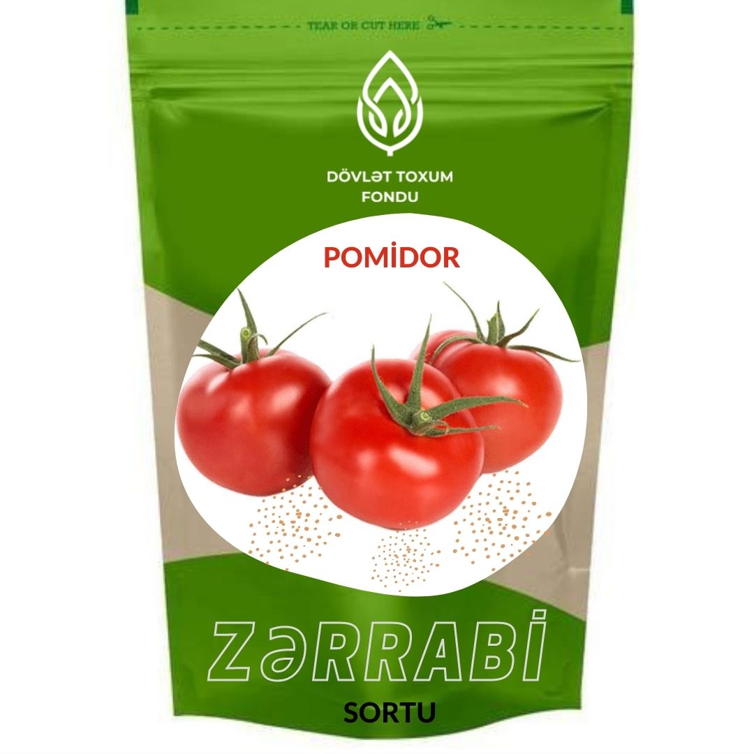 Pomidor