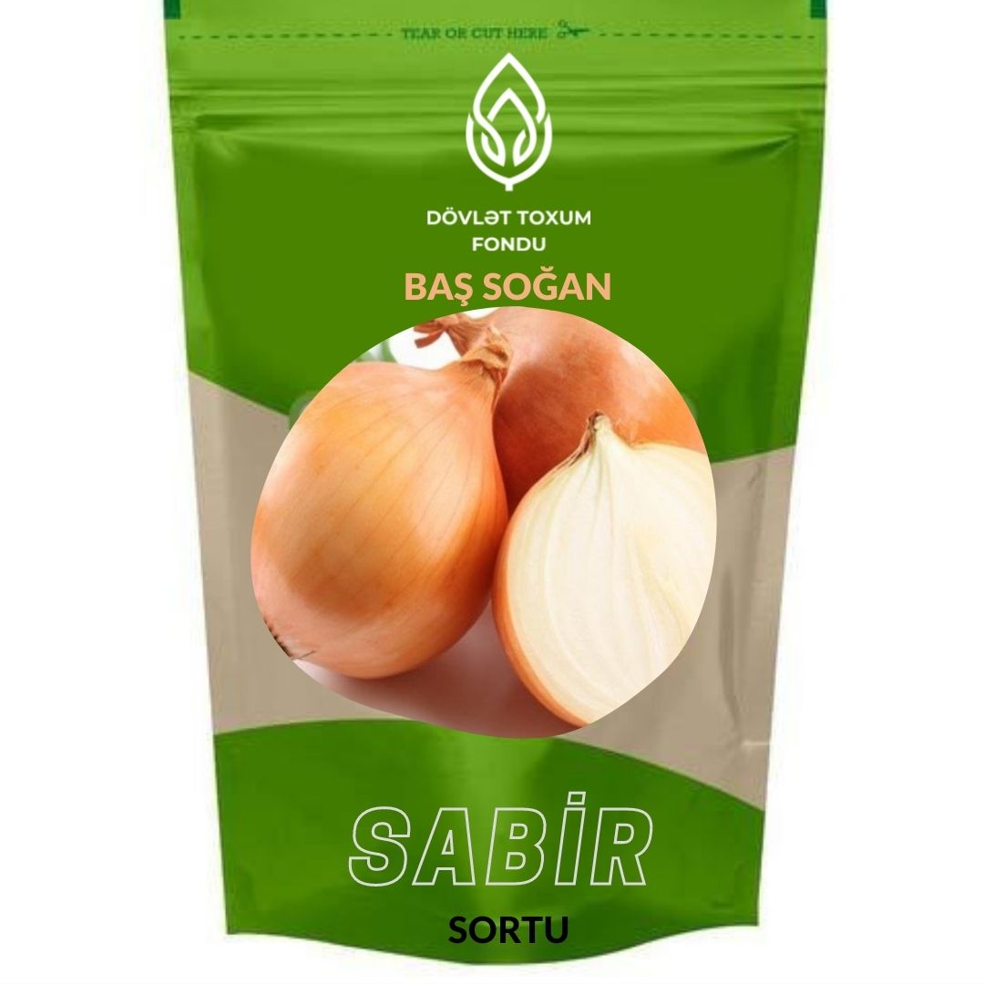 Soğan